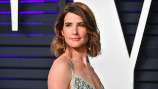 Cobie Smulders to star in ABC pilot based on <i>Stumptown </i>graphic novel<em></em>